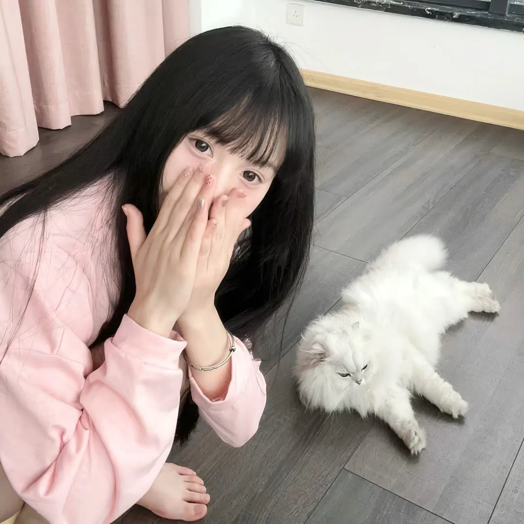 摇滚藏獒蓝色光芒